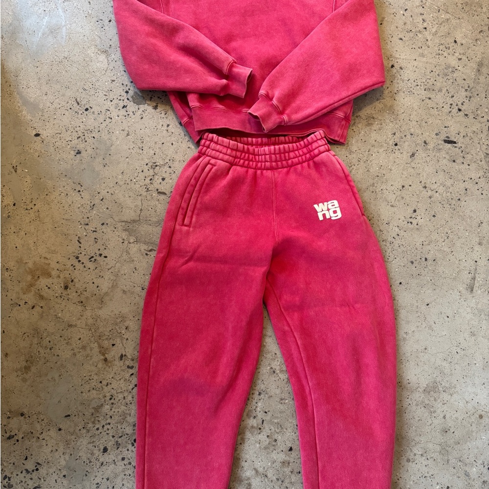 Alexander Wang Sweater only